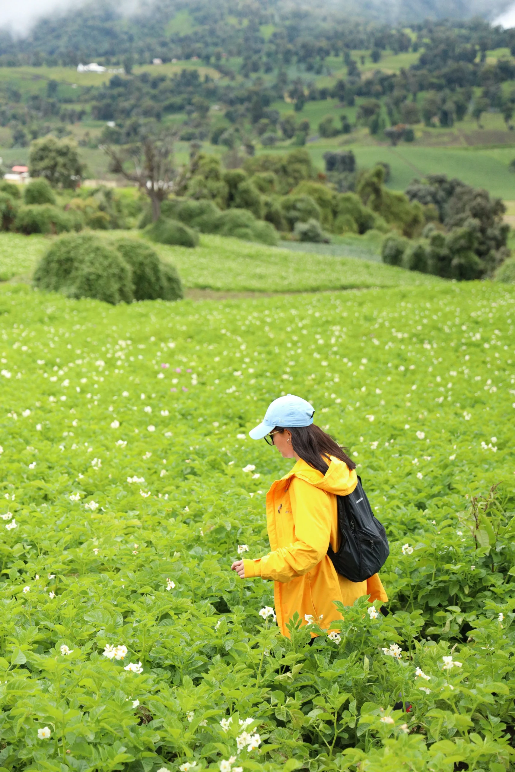 Comprehensive rodent exclusion with lifetime warranty