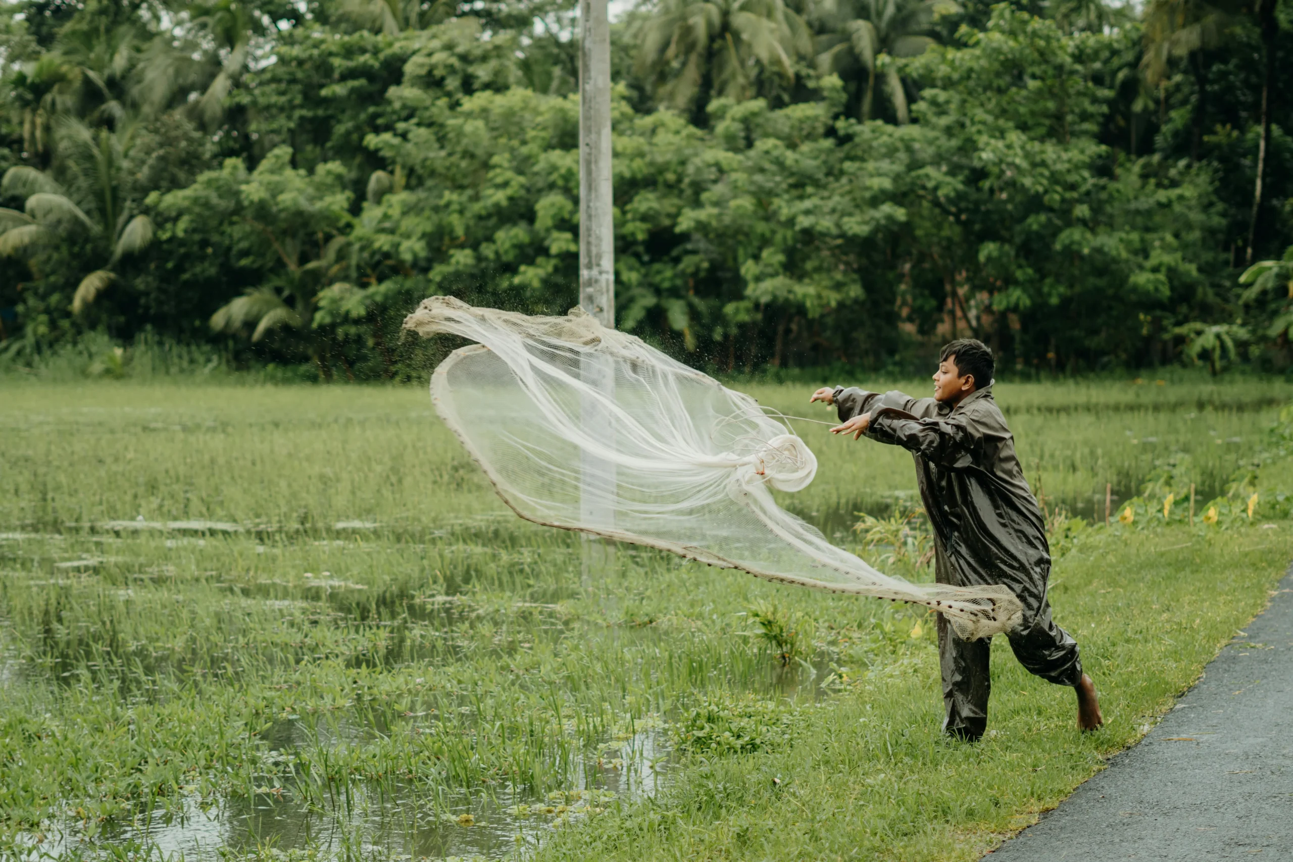 Licensed Washington State pest control operators