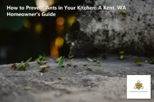 How to Prevent Ants in Your Kitchen: A Kent, WA Homeowner’s Guide
