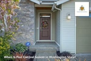 When Is Pest Control Season in Washington State? A Month-by-Month Guide for Kent, WA Homeowners