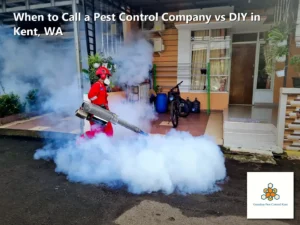 When to Call a Pest Control Company vs DIY in Kent, WA