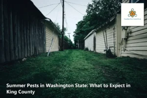 Summer Pests in Washington State: What to Expect in King County