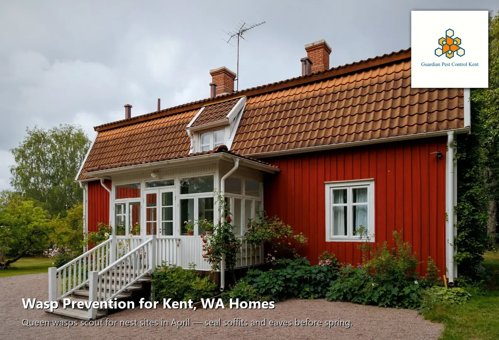 Common wasp nesting entry points at soffit and eave on Kent WA home exterior